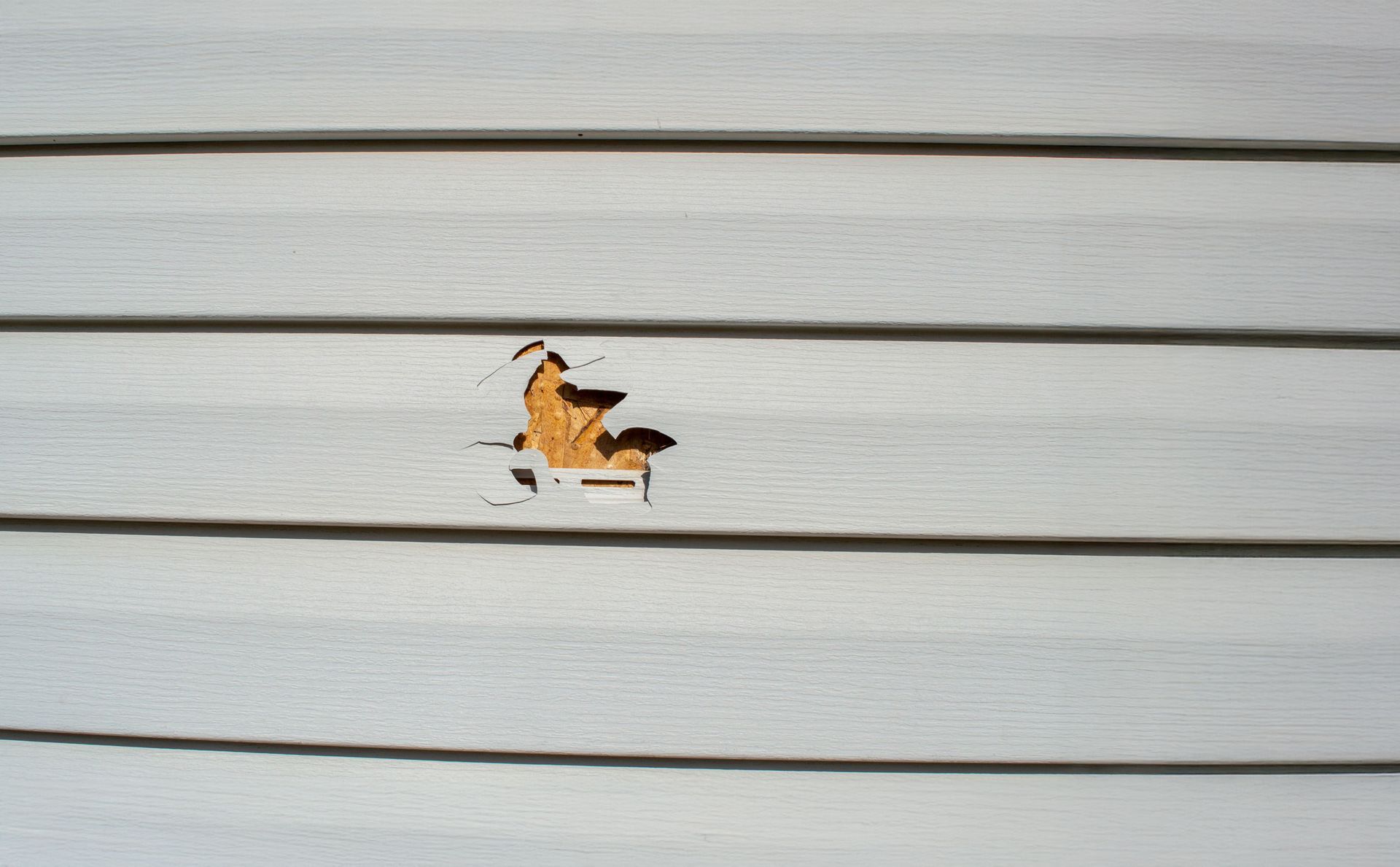 A close up of a white siding with a hole in it.
