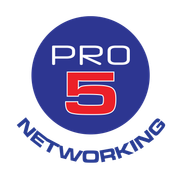 A logo for pro networking with a red check mark