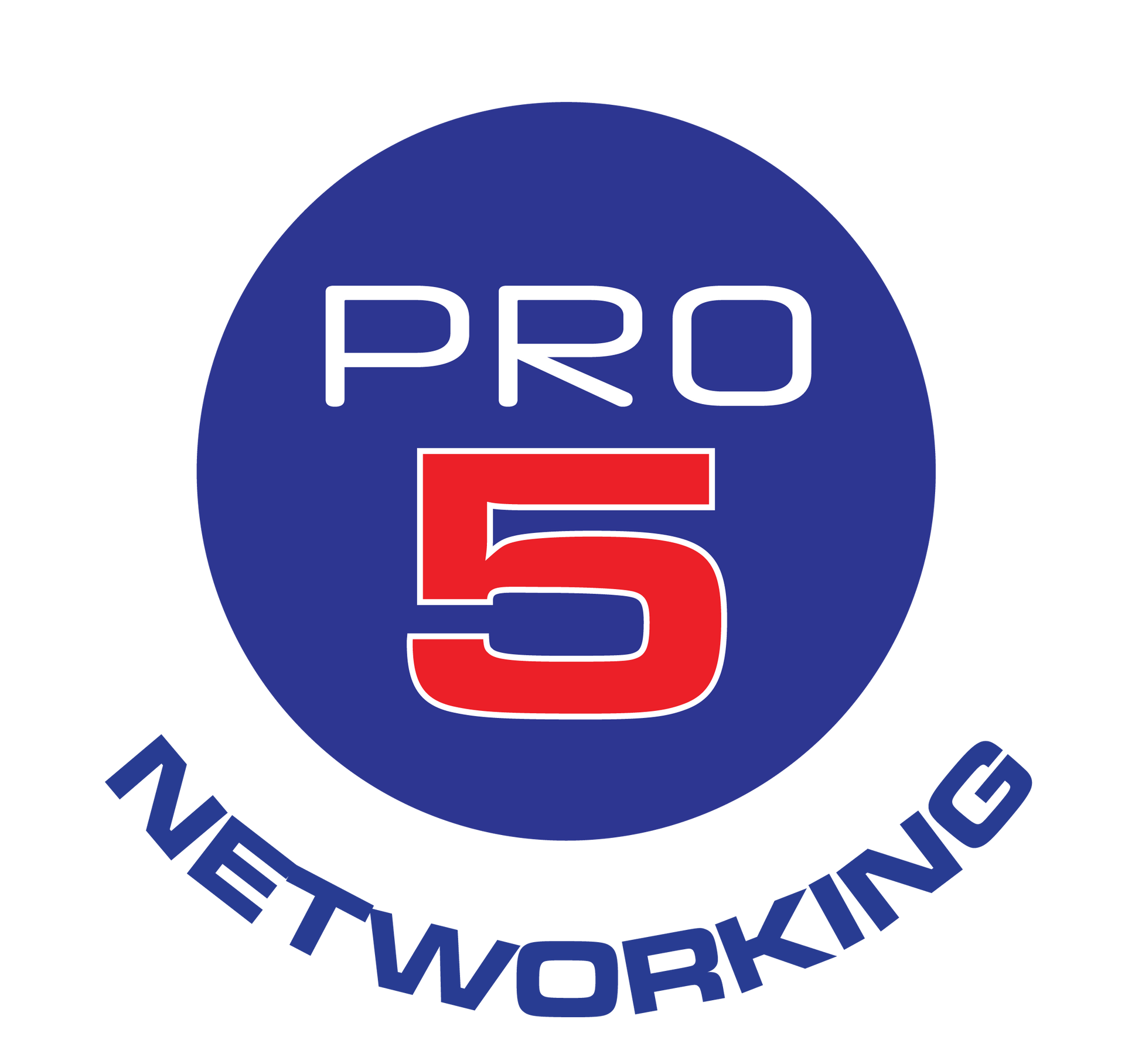 A logo for pro networking with a red check mark