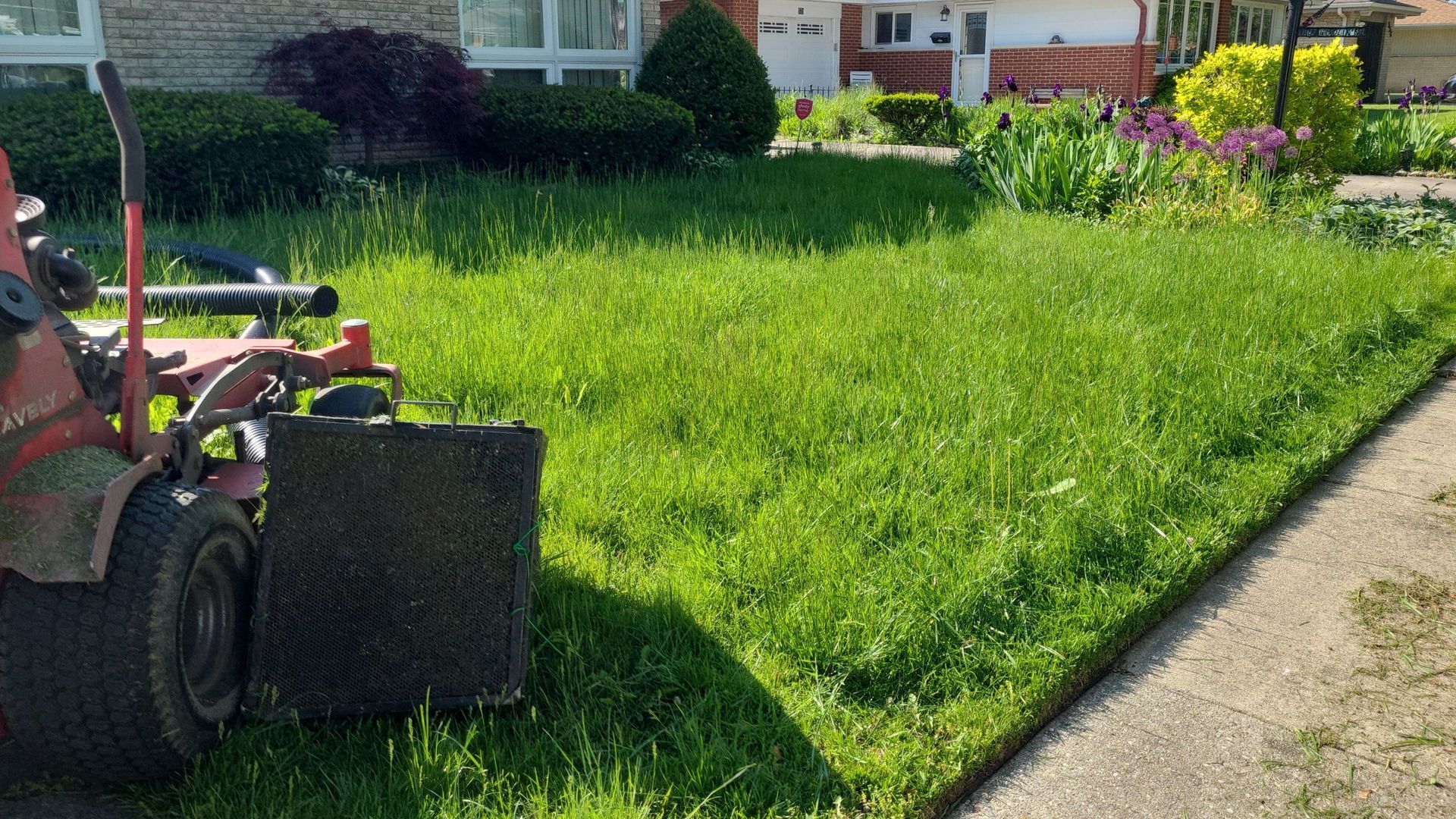A lush green lawn with a stone walkway leading to a house.