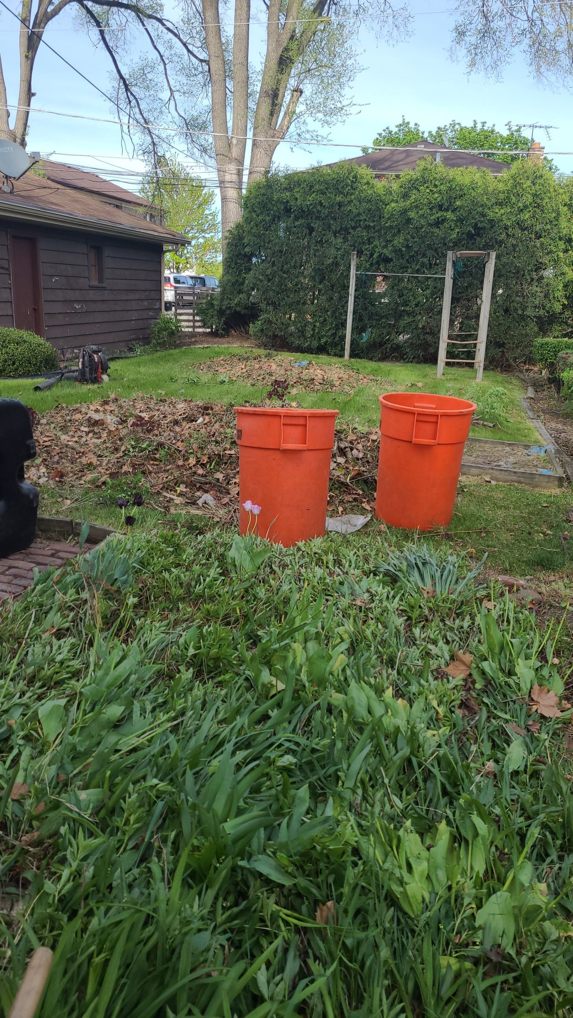 A green wheelbarrow filled with branches in a garden.