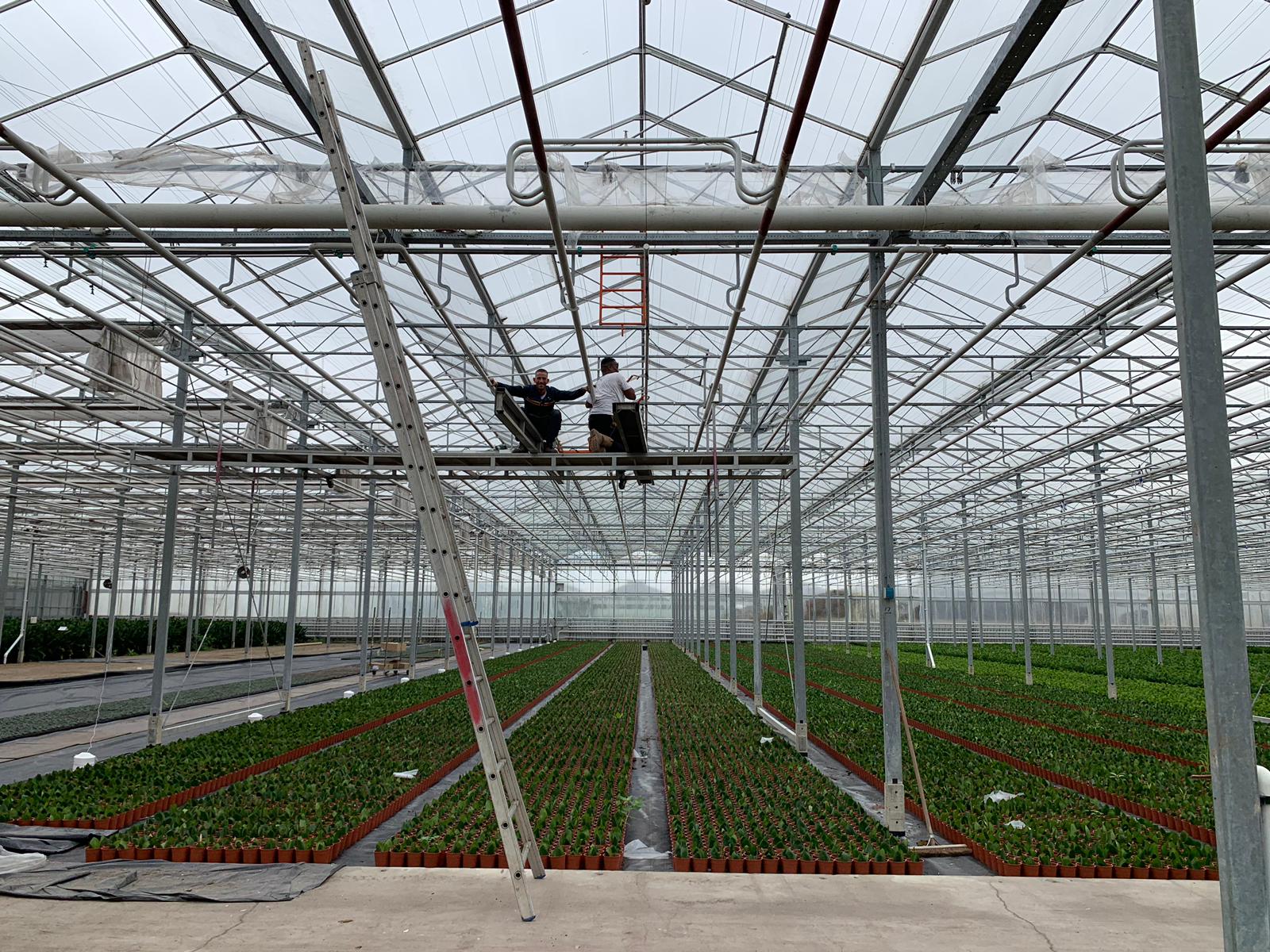 Kas-Onderhoud Westland