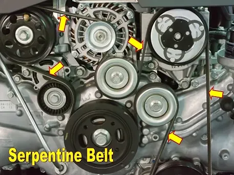 Serpentine Belt Diagram | Circle M Truck Repair Inc