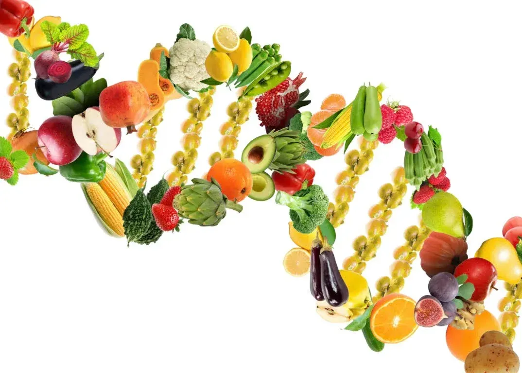 A dna made of fruits and vegetables on a white background
