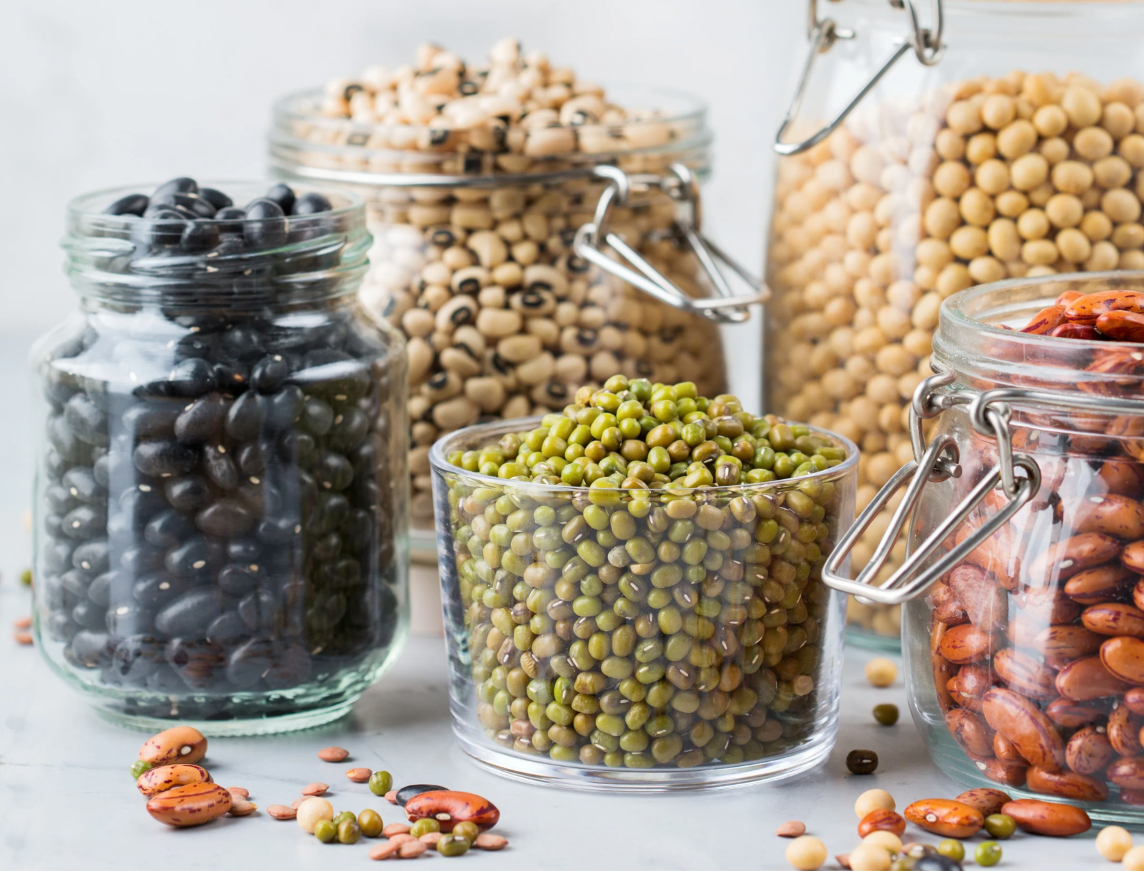 Various jars of dried beans, inlcuding soybeans, black beans, chickpeas, black eyed peas, and pinto beans.