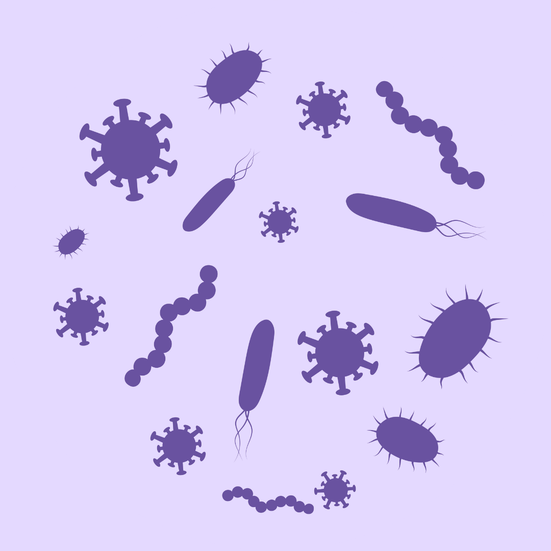 A graphic of bacterial in various shapes and sizes spread in a circle shape on a purple background