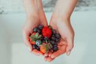 A woman is holding strawberries and blueberries in her hands.