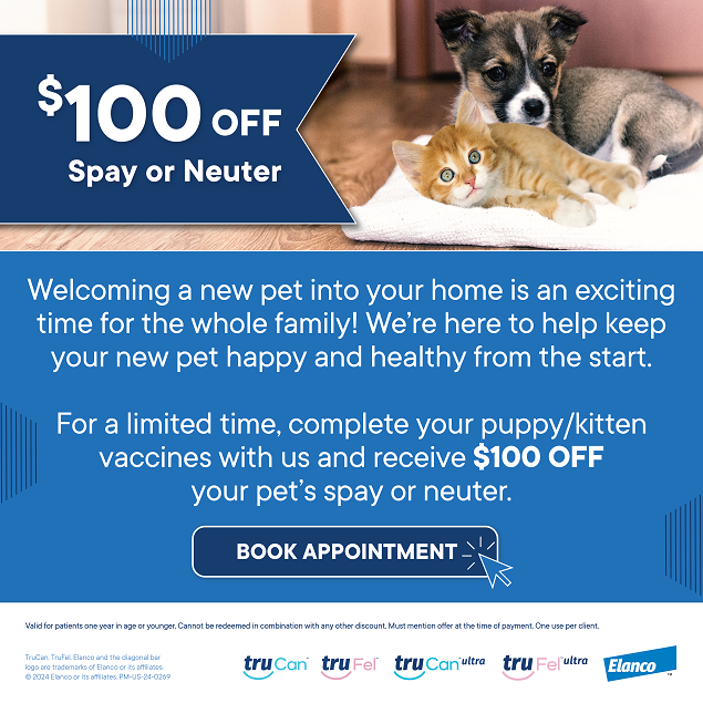 $100 Off Spay and Neuter