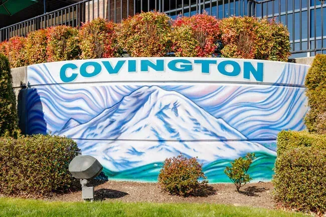 covington emergency plumber