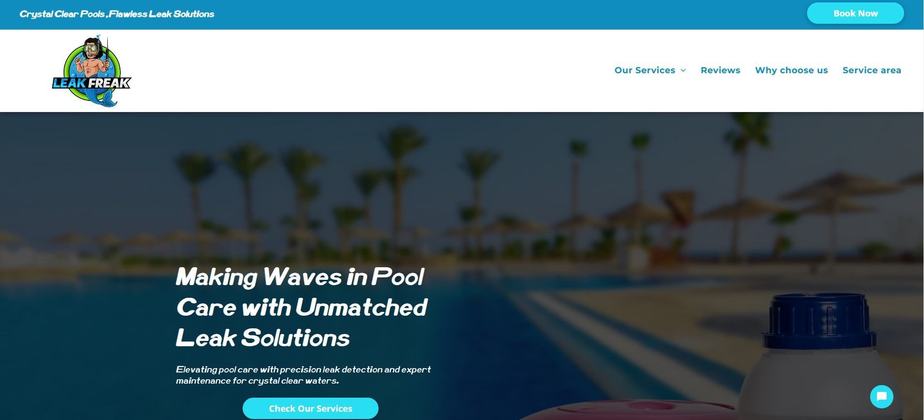 About Us | Leak Freak - Your Pool Care Experts