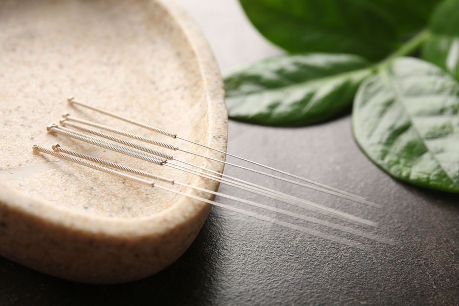 Acupuncture needles on a stone tray, with green leaves in the background.