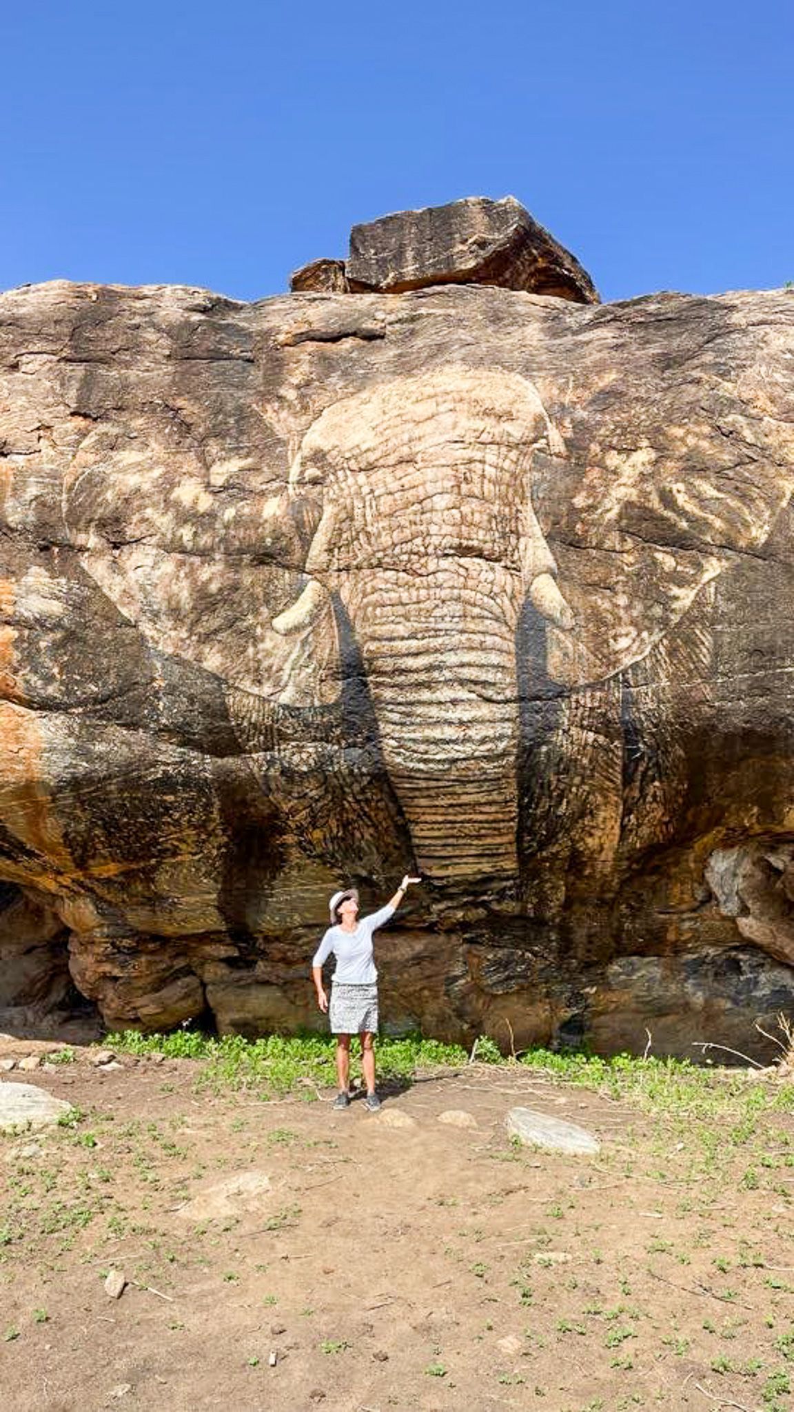 A man is standing in front of a large rock formation that looks like an elephant.