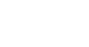 HIGH DEF DETAILING LOGO