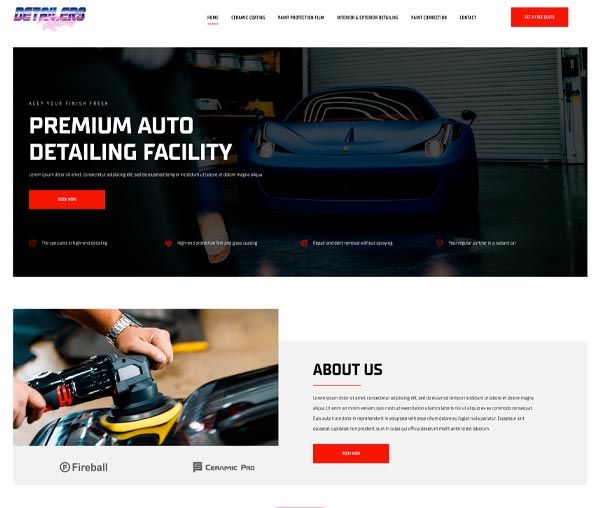 stinger detailing website design template