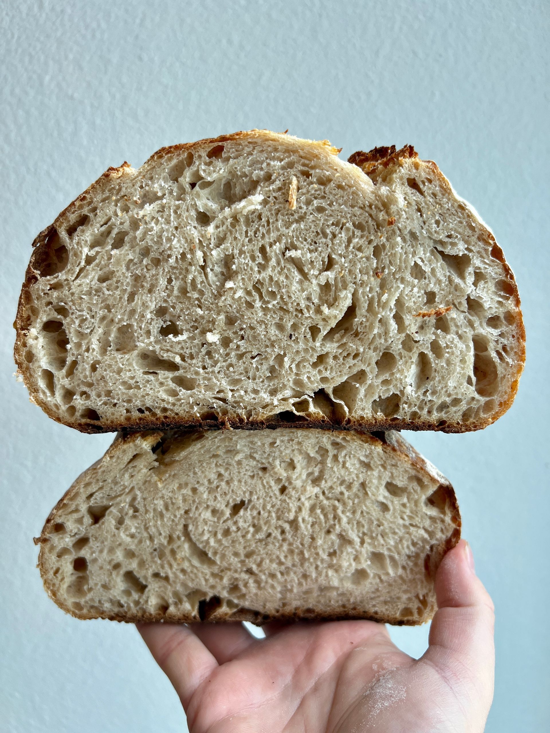 A person is holding two slices of bread in their hand