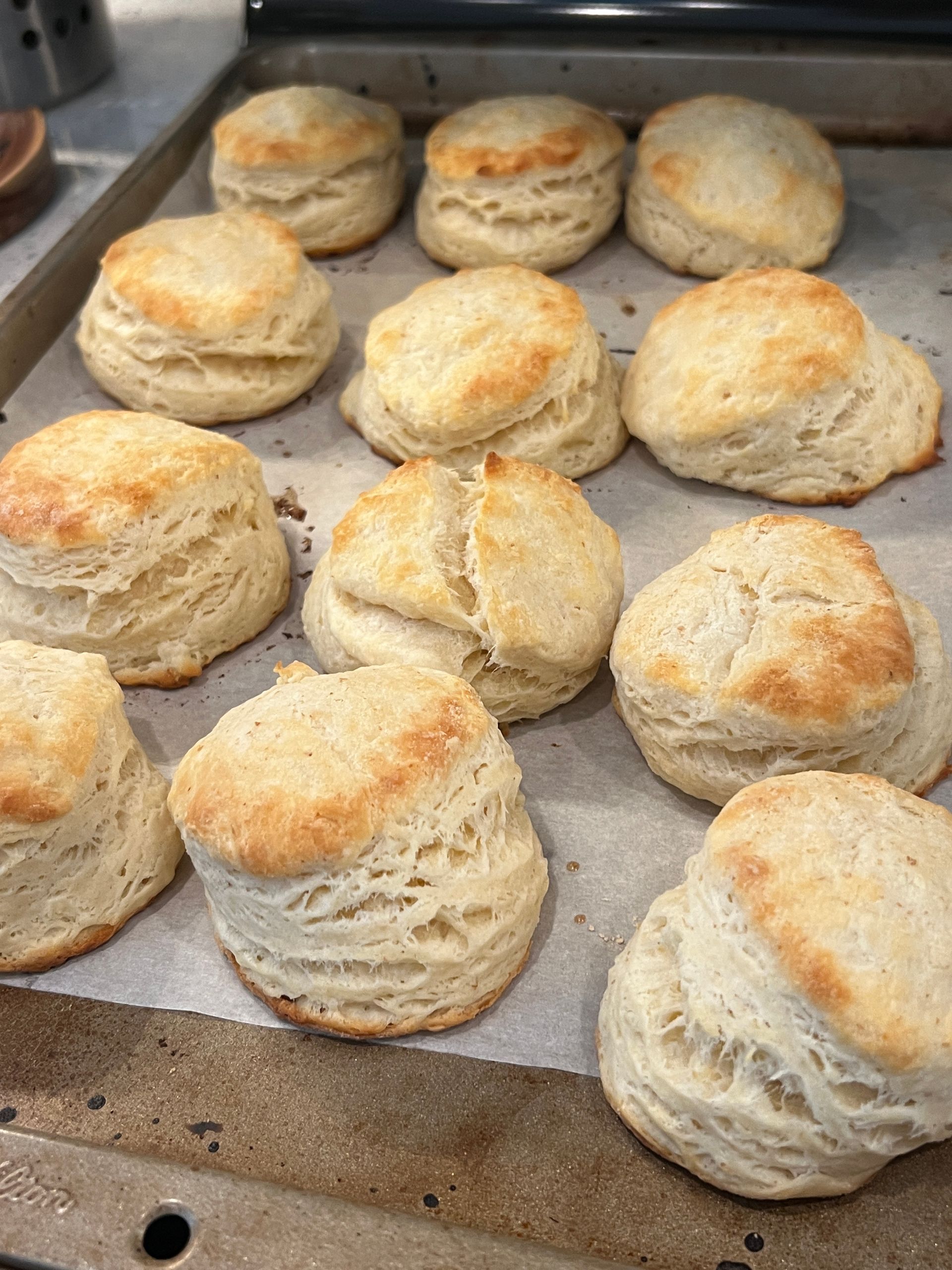 A bunch of biscuits are sitting on top of a baking sheet.
