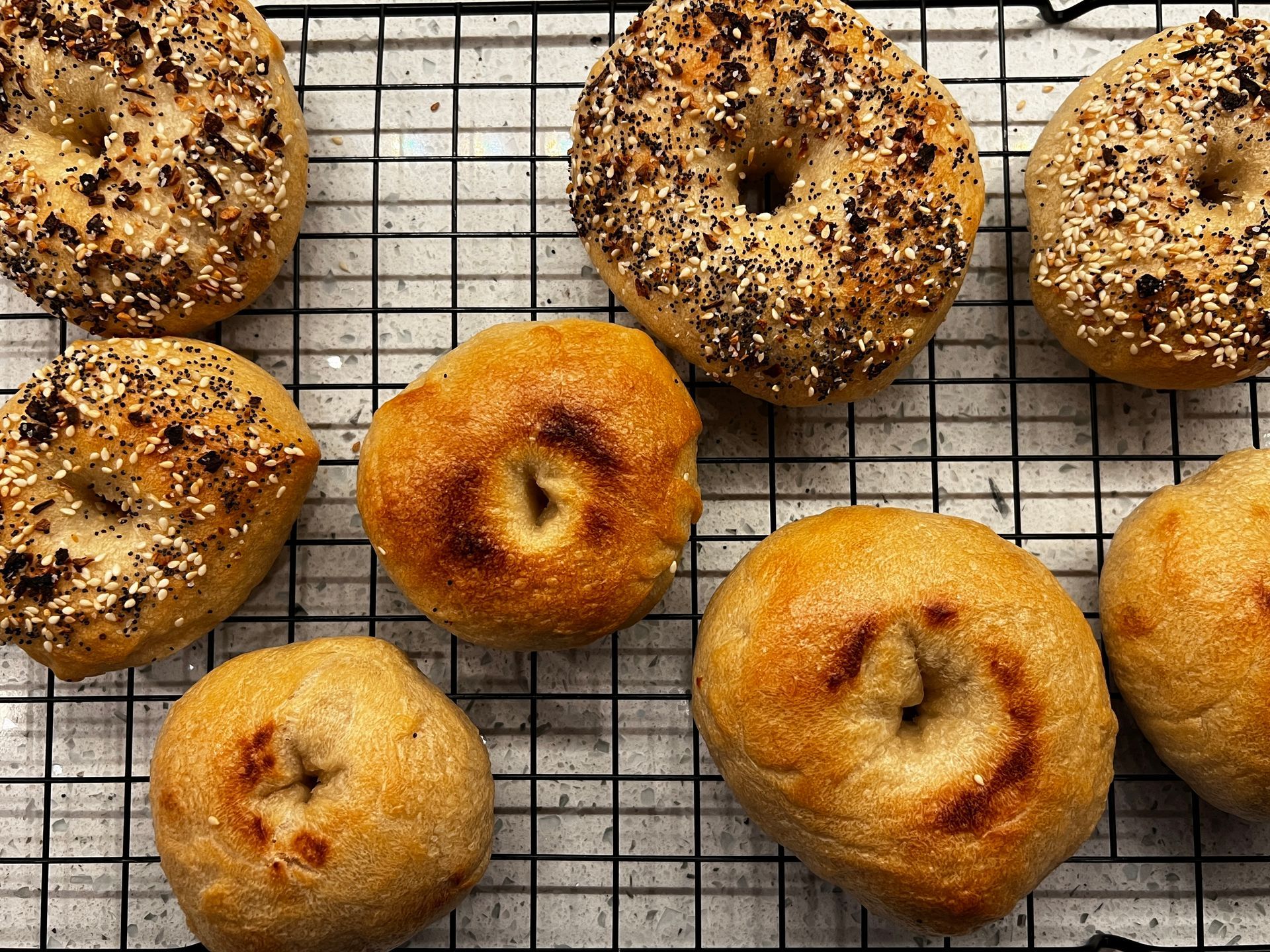 A bunch of bagels are sitting on a cooling rack.
