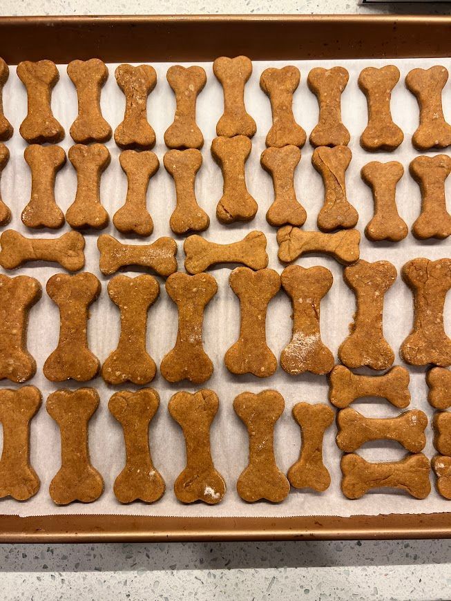 A tray of dog treats in the shape of bones