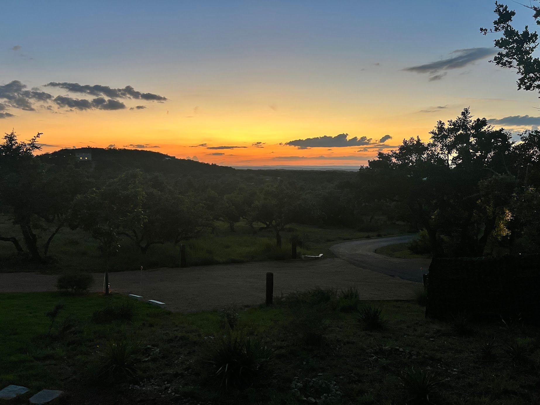 A sunset with trees in the foreground and a road in the background