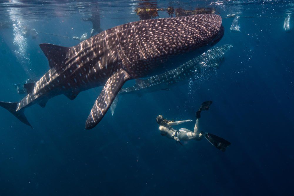 Belize at Ramon’s in Ambergris Cay - 8 Days