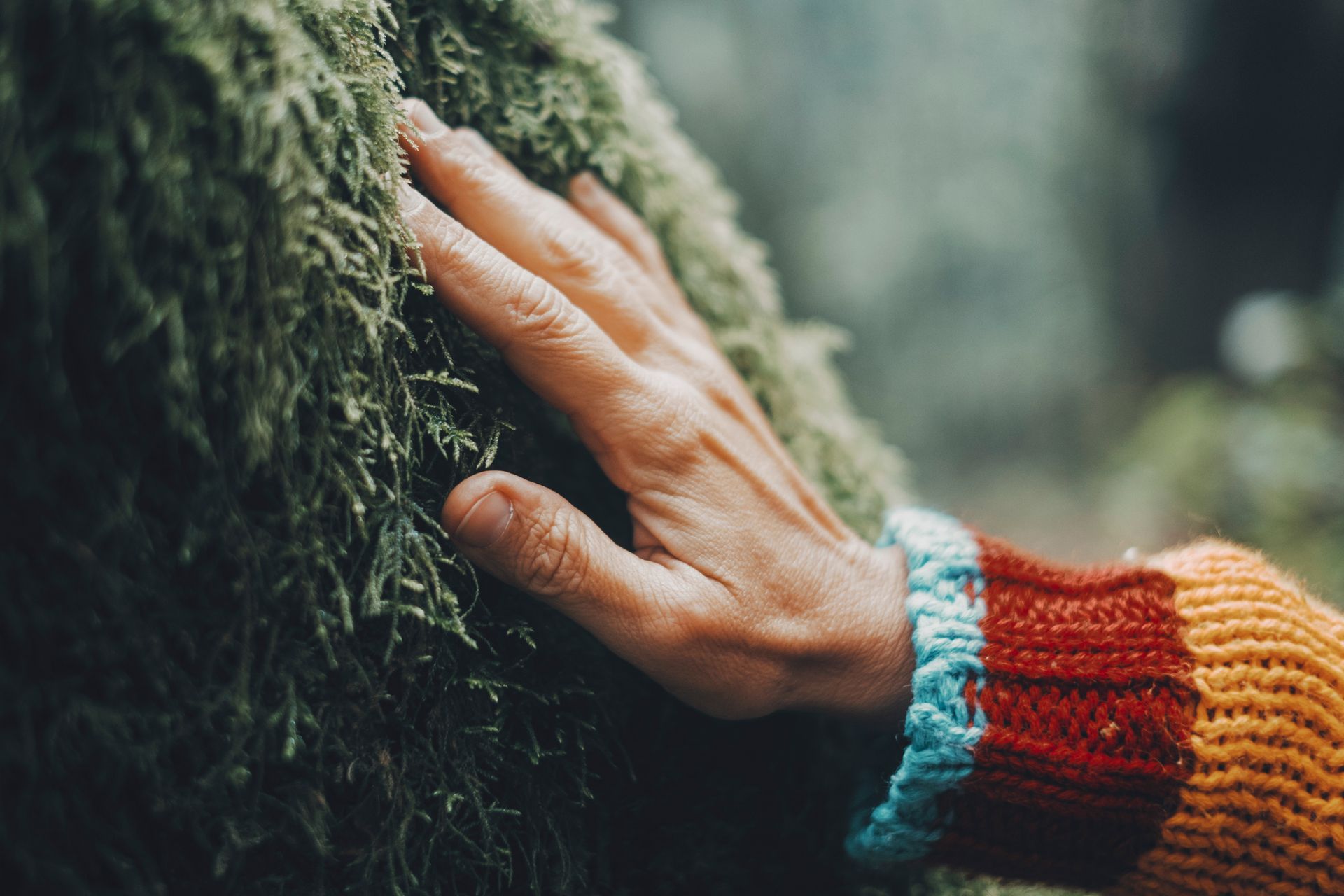 Personne en communion avec la nature, pour montrer l'impact positif éco responsable d'EYE SCREEN.