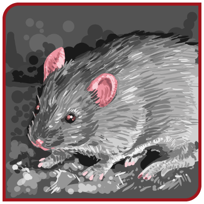 Un dessin en noir et blanc d'une souris aux oreilles roses.