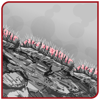 Un dessin en noir et blanc de chenilles processionnaires