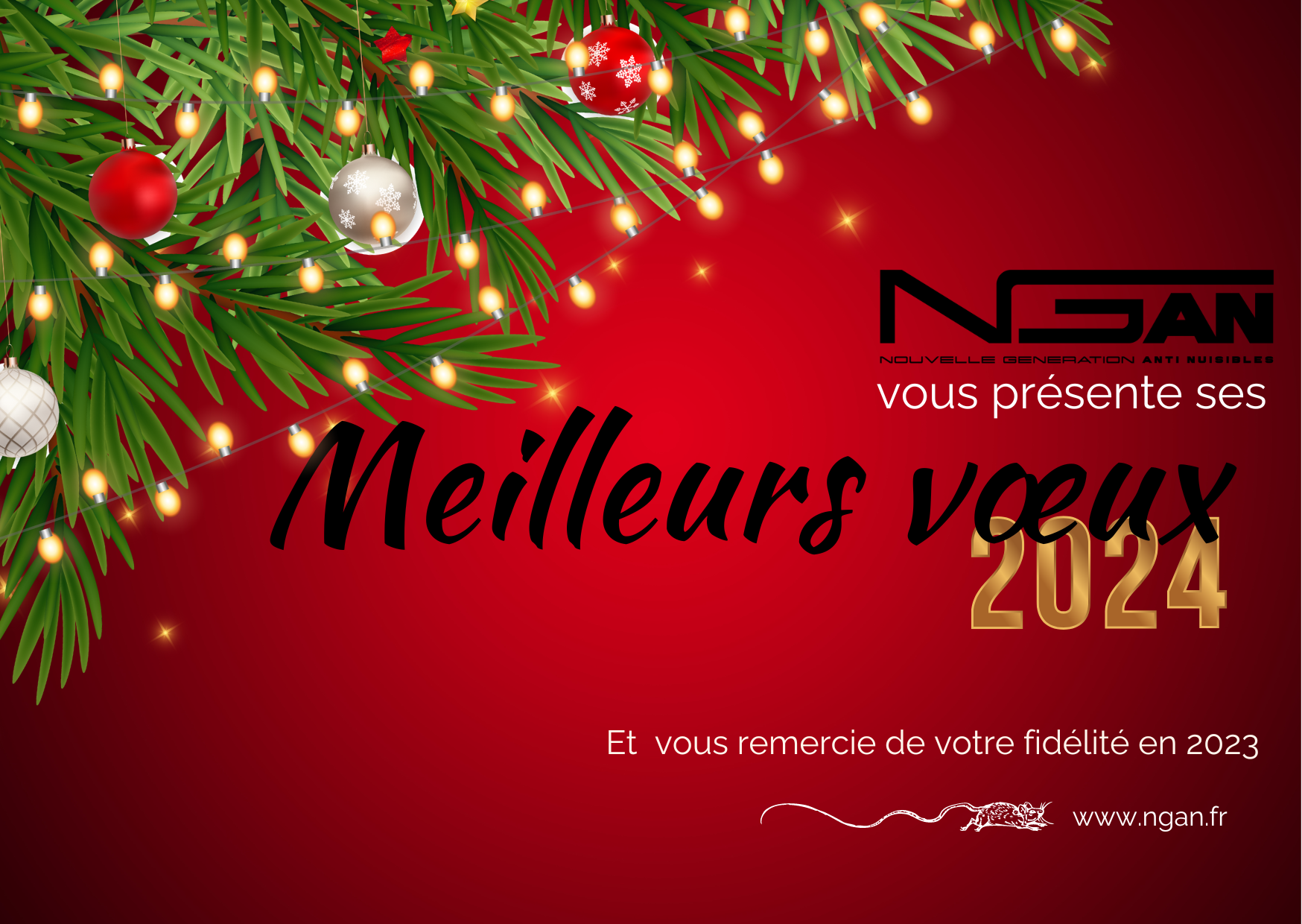 A christmas card that says meilleurs voeux 2024