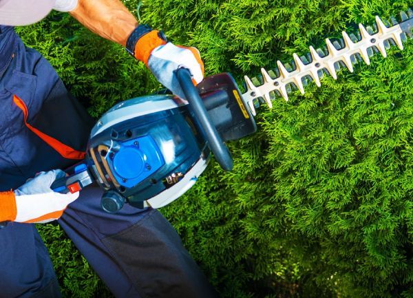 Giardinaggio a Parma