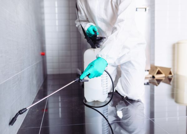 Disinfestazione a Parma
