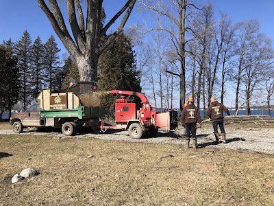 A couple of people standing next to a truck in a field.