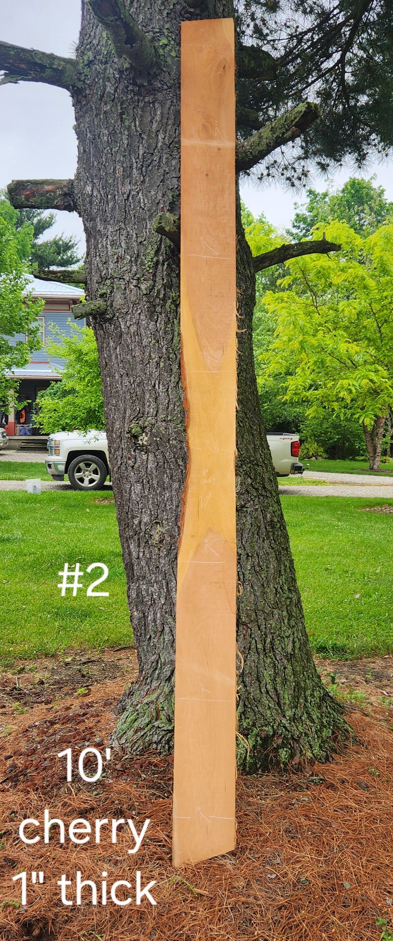 A piece of wood is sitting next to a tree in a yard.