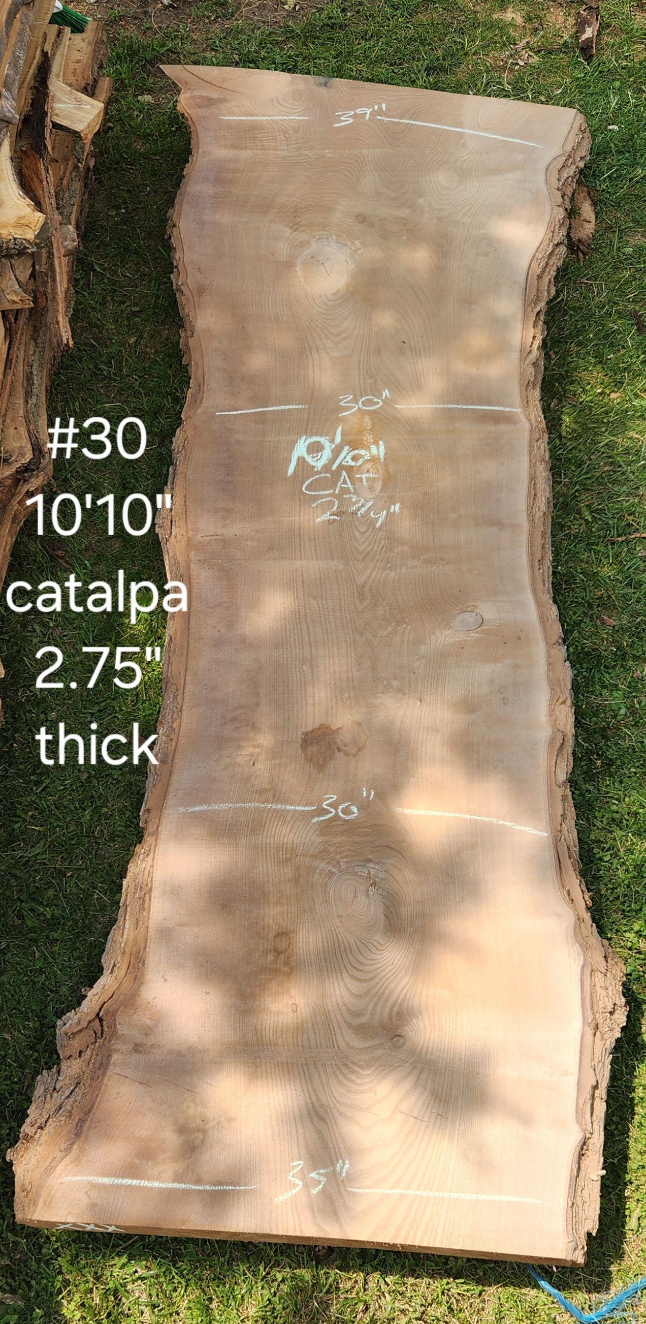 A large piece of wood is sitting on top of a lush green field.