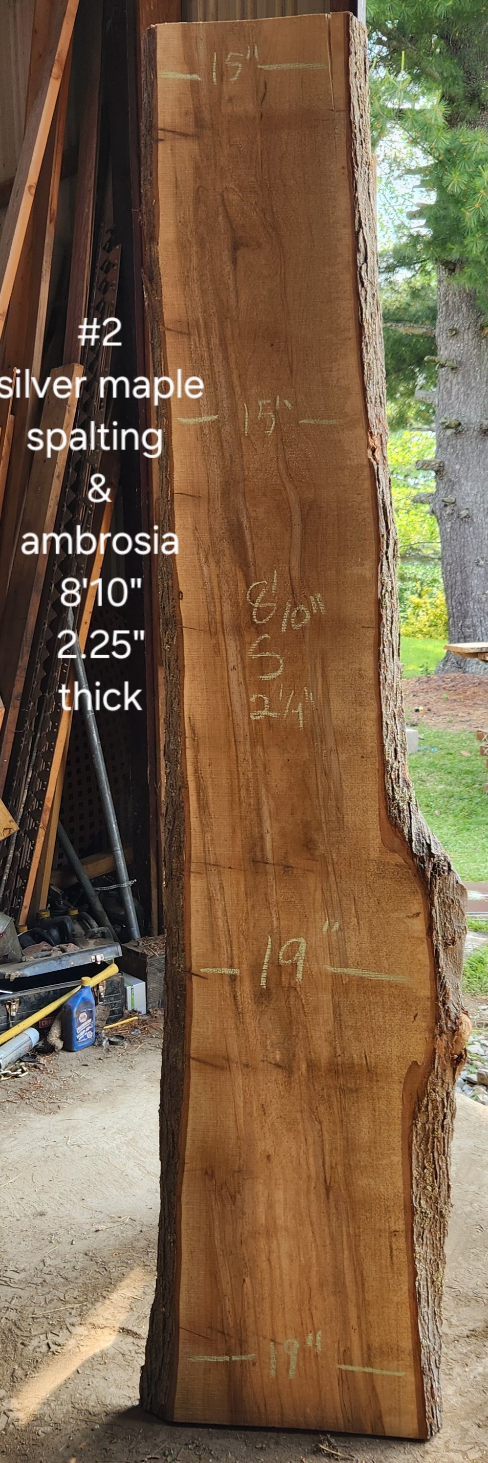 A large piece of wood is sitting on the ground next to a tree.