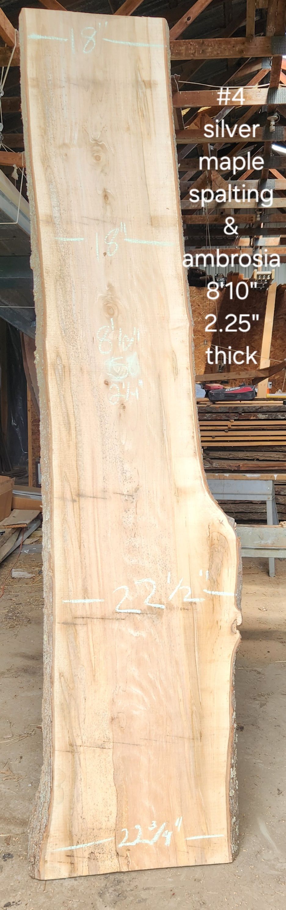 A large piece of wood is sitting on the ground in a room.