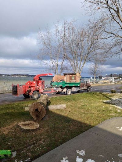 A large tree stump is sitting in the grass next to a truck.