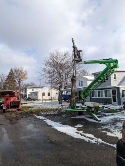 A man is cutting a tree with a crane in a parking lot.