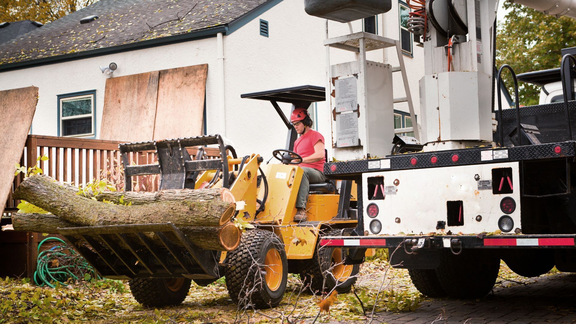 A man is driving a tractor with a large tree on it in front of a house.