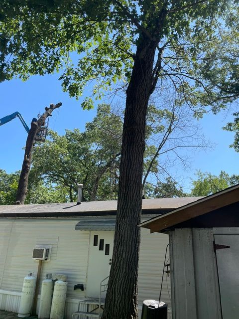 A tree chipper is being used to remove a tree stump from a yard.