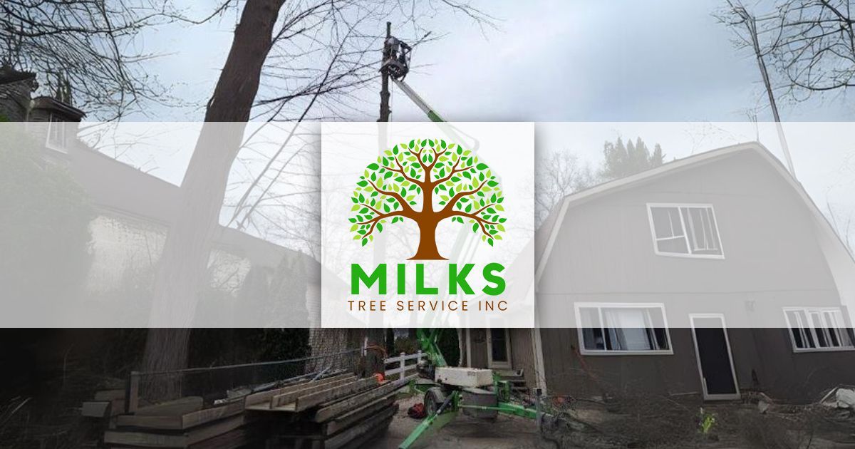 HOME | Milks Tree Service Inc | Addison, MI
