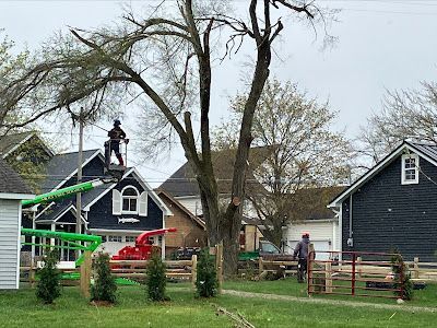A man is standing on top of a house cutting a tree.