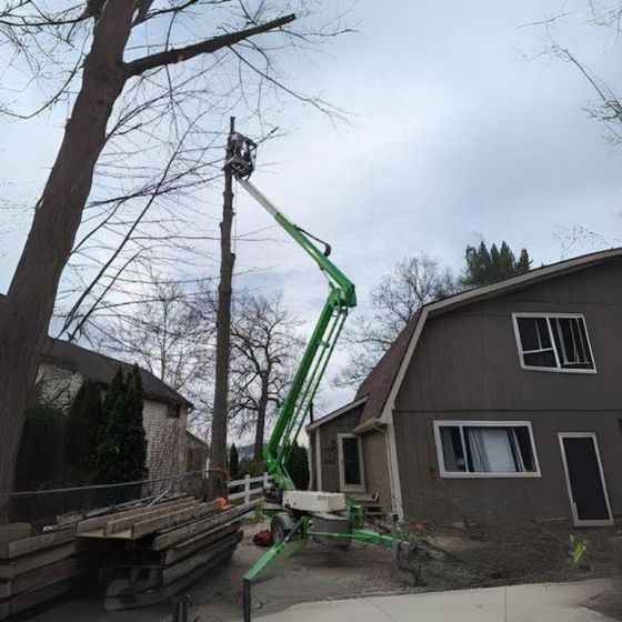 A green crane is cutting a tree in front of a house