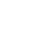 Steering Wheel — Forsyth, NC — Safe Ride Transportation