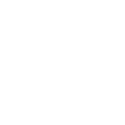 Steering Wheel — Forsyth, NC — Safe Ride Transportation