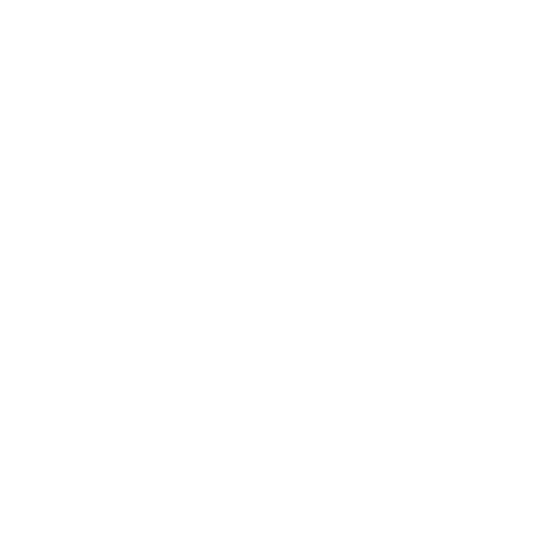 Wheelchair — Forsyth, NC — Safe Ride Transportation