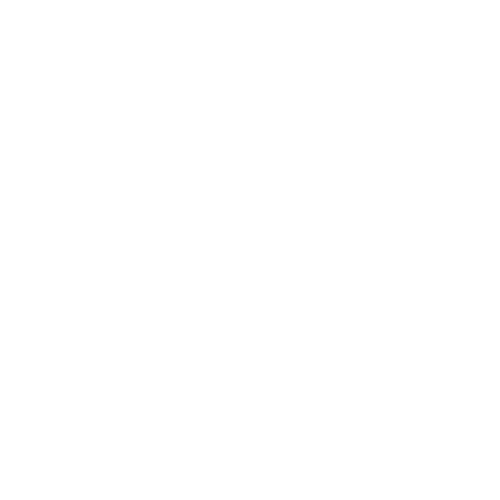 Accessibility Lift — Forsyth, NC — Safe Ride Transportation