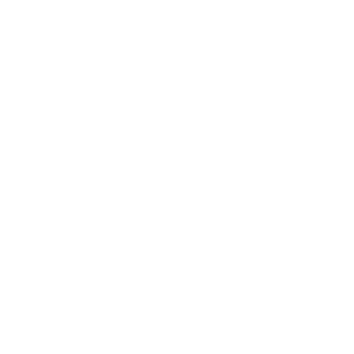 Driver With Seatbelt — Forsyth, NC — Safe Ride Transportation