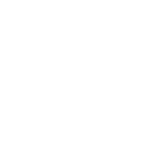 Van With Accessibility Lift — Forsyth, NC — Safe Ride Transportation