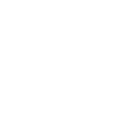 PWD Assist — Forsyth, NC — Safe Ride Transportation