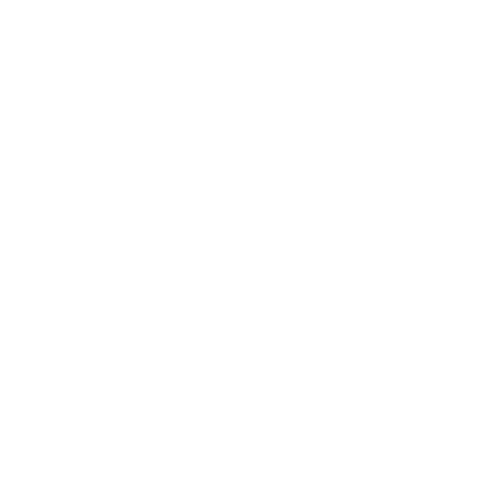 Driver With License — Forsyth, NC — Safe Ride Transportation